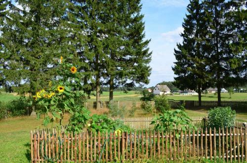 Villa Wyspa ?wierk�w