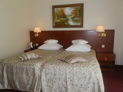 Hotel Willa Alexander Resort & Spa