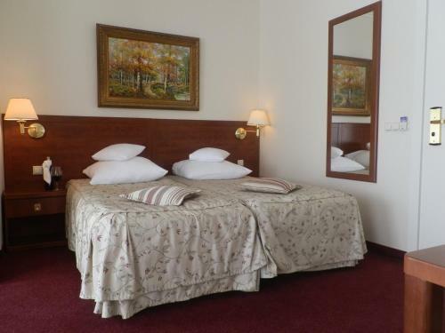 Hotel Willa Alexander Resort & Spa