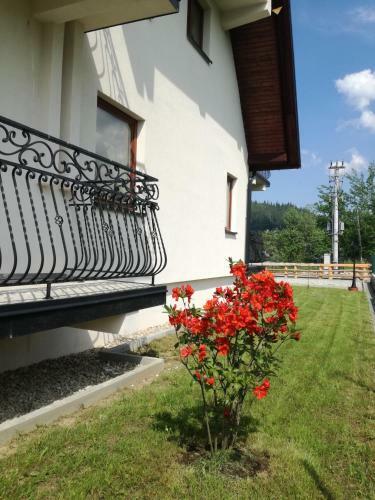 Apartament Hawra? Murzasichle