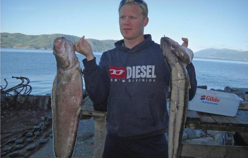 Holiday Home V�gstranda P�lgjerde