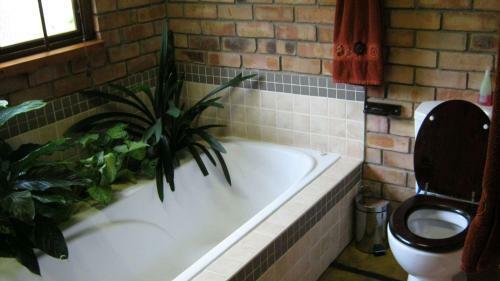 Elands River Lodge