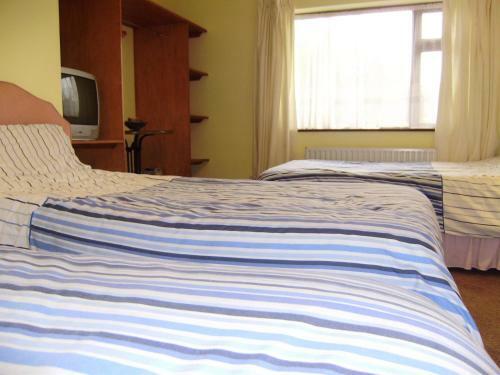 The Bards Den Hostel