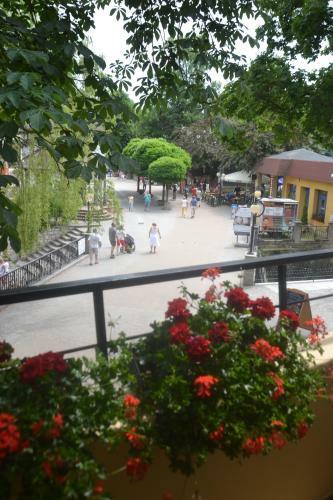 Apartamento Go?ciniec Macieja