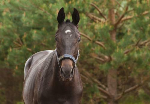 Hostal Noce I Dnie