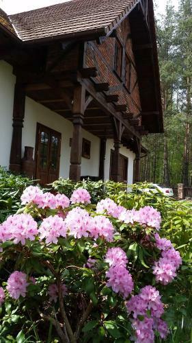 Agroturismo Pokoje Go?cinne U Garncarza