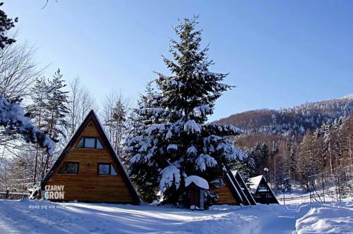 Lodge Domki Czarny Gro?