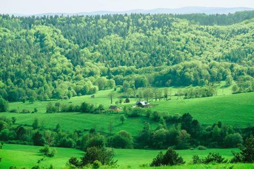 Lodge Sielska Chy?a & Filek
