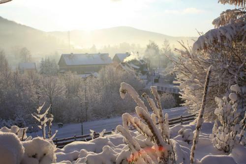 Bed & Breakfast Dom Na Klonowym Wzg�rzu