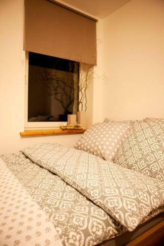Apartament Bukowe Wzg�rze