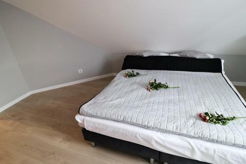 Apartamenty Bm'kruk