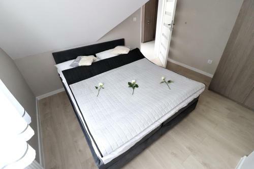 Apartamenty Bm'kruk