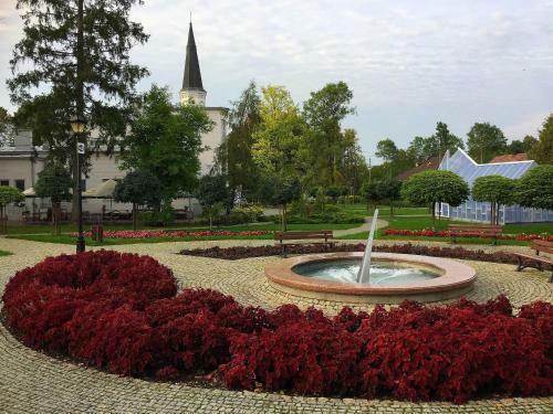 Apartamenty Pod Wiciokrzewem
