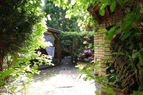 Apartamenty Pod Wiciokrzewem