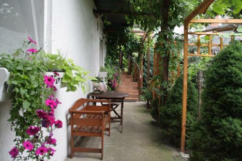 Apartamenty Pod Wiciokrzewem