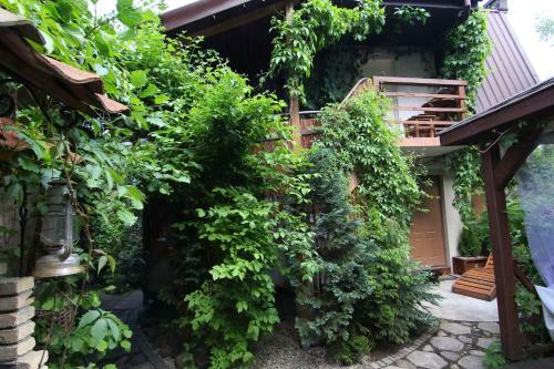 Apartamenty Pod Wiciokrzewem