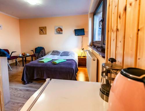 Hostal Le?nicz�wka Wie?yca I Domki