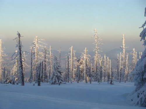 Hostal Gospoda Graniczna Bombaj