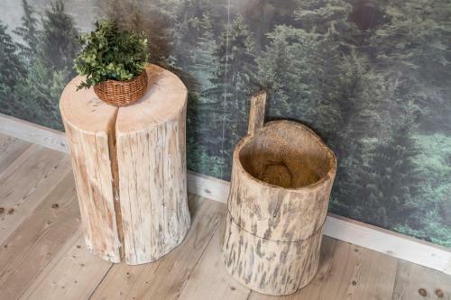Apartamenty Bia?y Potok Zakopane