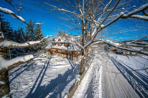 Hostal Le?nicz�wka U Zi?by