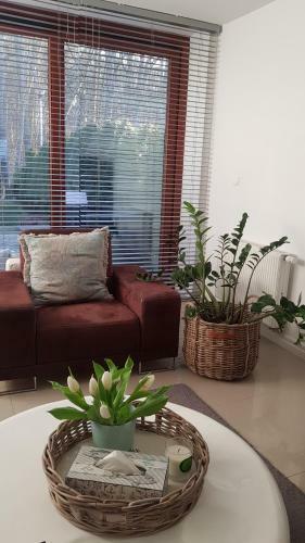 Wiselka Apartament