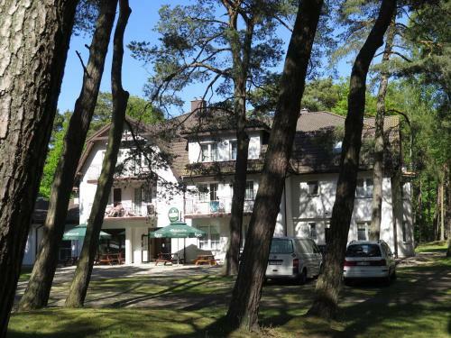 Bed & Breakfast Trymas Wczasy