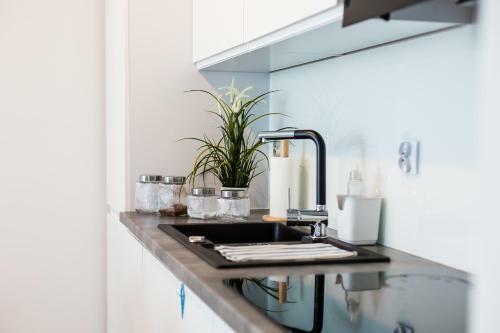 Equilibrium Apartments
