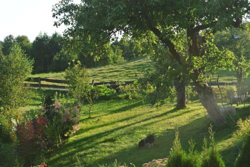 Agroturismo Jora Siedlisko