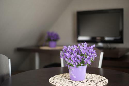 Apartamenty Apartinfo Vela