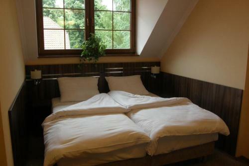 Hotel Belfer