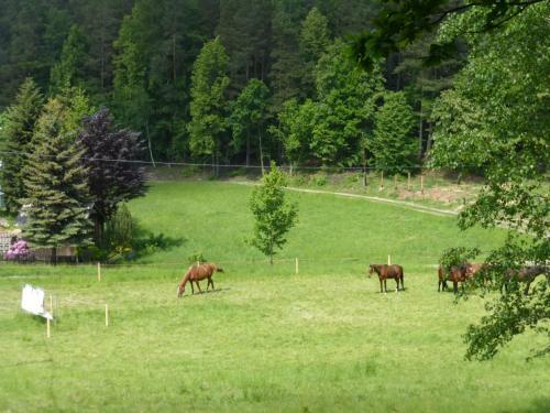 Agroturismo Za Si�dm? G�r?