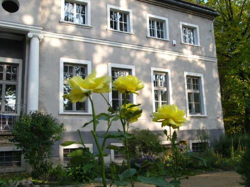 Bed & Breakfast Pa?ac S?awnikowice