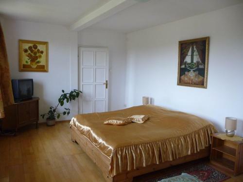 Hostal Pa?ac Wojciechy