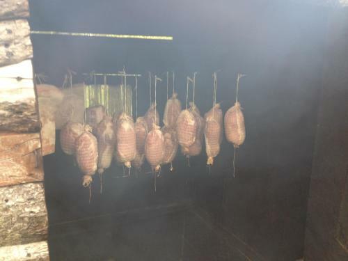 Agroturystyka W Jab?oniowym Sadzie