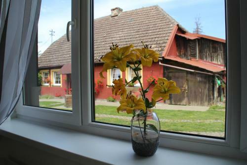 Agroturystyka W Jab?oniowym Sadzie