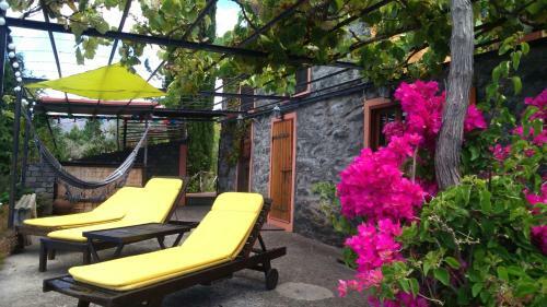 Ocean View Cottage