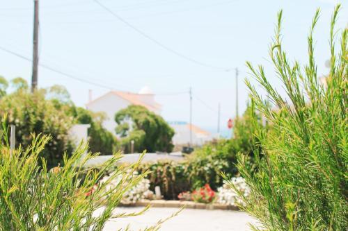 Bed & Breakfast Sal Da Costa Lodging