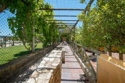 Hotel Quinta Da Azenha �bidos