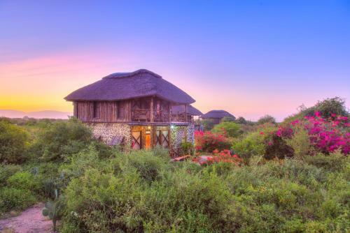Lodge Manyara Wildlife Safari Camp