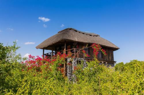 Lodge Manyara Wildlife Safari Camp