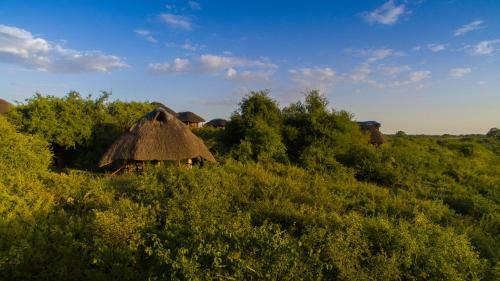 Lodge Manyara Wildlife Safari Camp