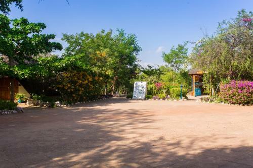 Lodge Manyara Wildlife Safari Camp