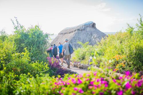 Lodge Manyara Wildlife Safari Camp
