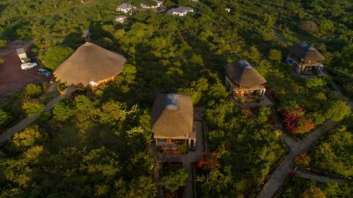 Lodge Manyara Wildlife Safari Camp