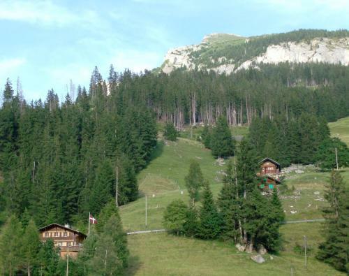 Apartamentos Chalet Weidli
