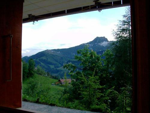 Apartamentos Chalet Weidli