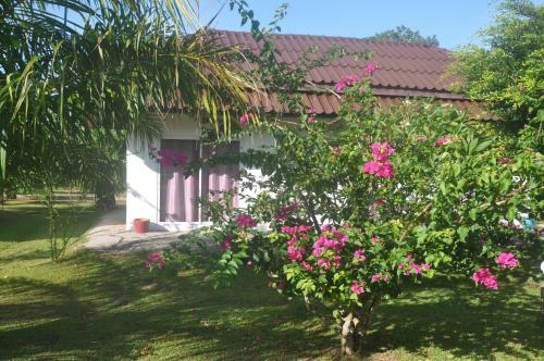 Hotel Sabai Resort Pakmeng