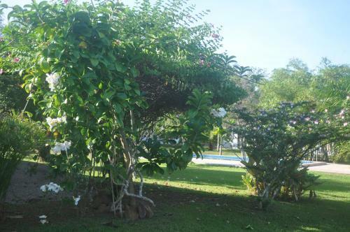 Hotel Sabai Resort Pakmeng