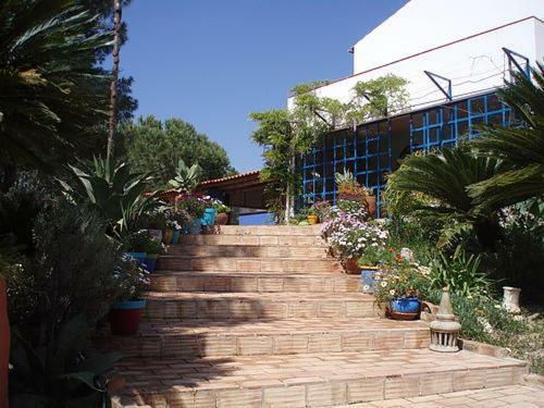 Bed & Breakfast Casa Do Palmeiral