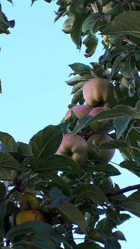 Bed & Breakfast Casa Esqu�vel